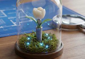 Best Dental clinic or Hospital in Azerbaijan