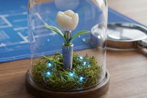 Best Dental clinic or Hospital in Azerbaijan